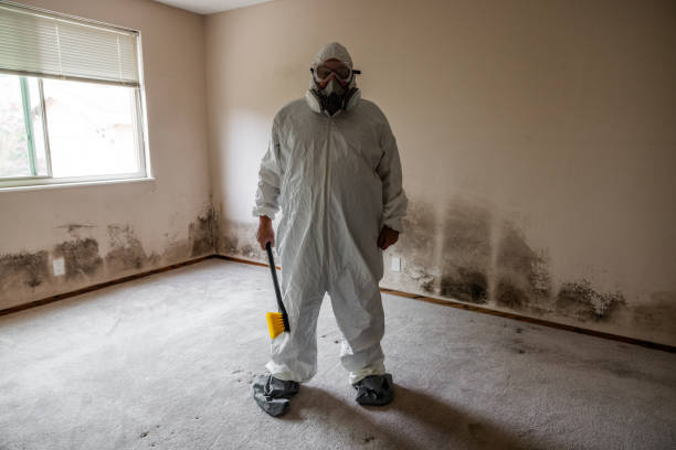 Best Post-Flood Mold Remediation in Manchester, WA